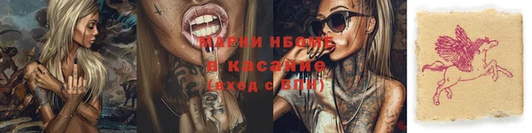 амф Коряжма