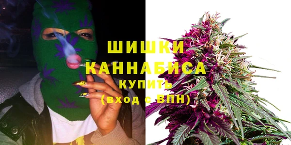 apvp Костерёво