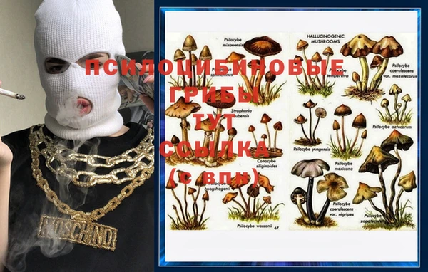 амф Коряжма