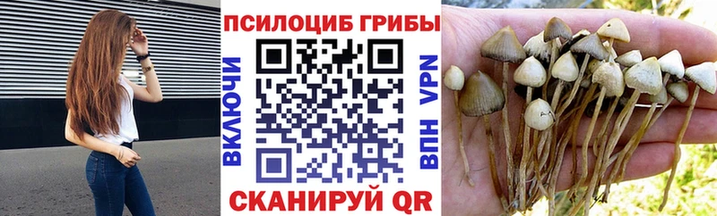 сколько стоит  Магнитогорск  Псилоцибиновые грибы мухоморы 
